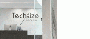 NEOLITH