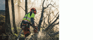 Husqvarna